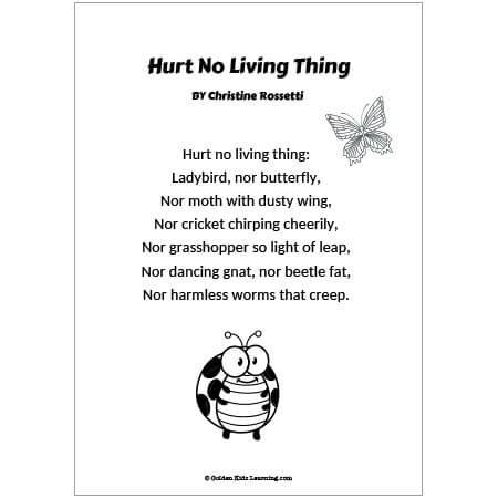 Hurt No Living Thing